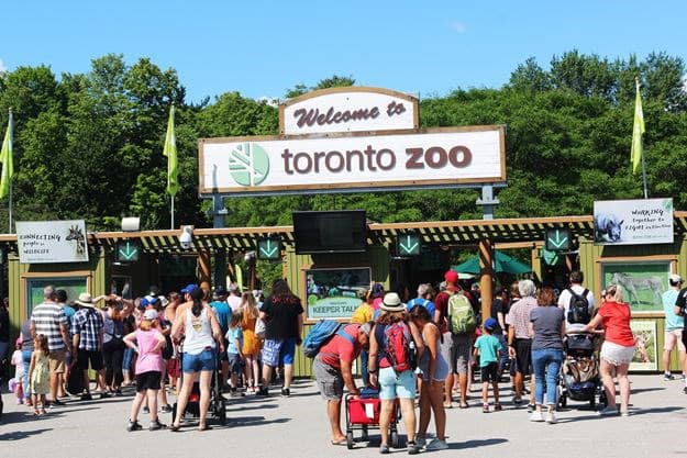 The main entrance to the Toronto Zoo